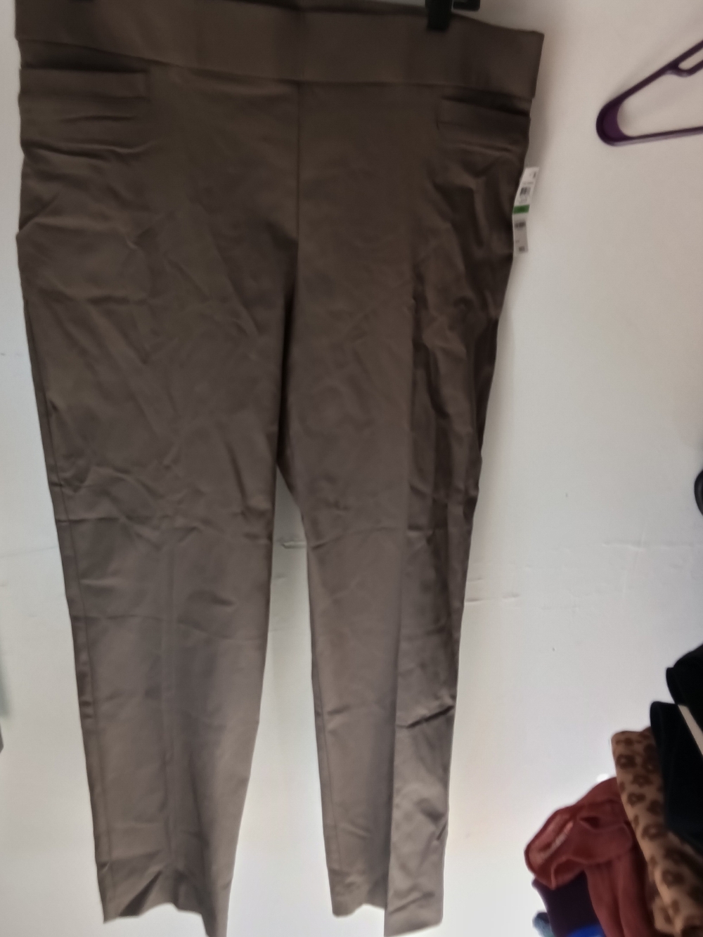 JM Collection Women's Straight-Leg Dress Pants in Olive Brown